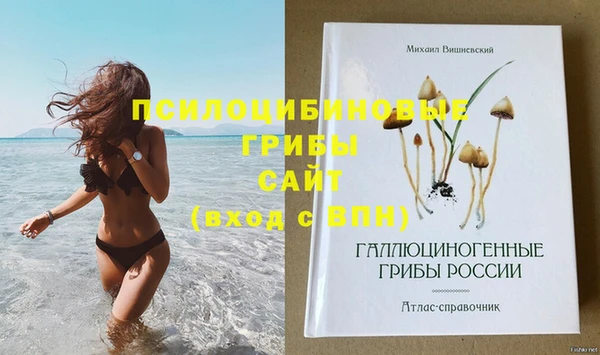 амф Вязники