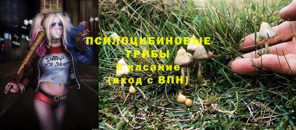 амф Вязники