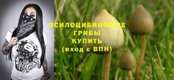амф Вязники